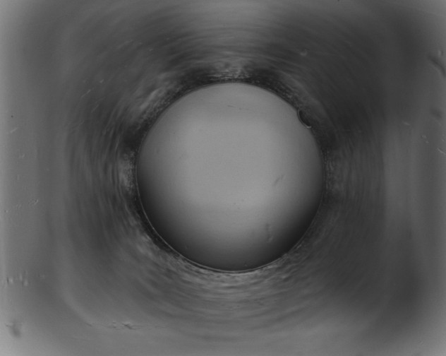 X0000103240035200809111607