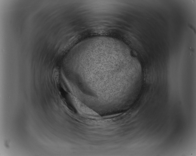 X0000103240036200809111607