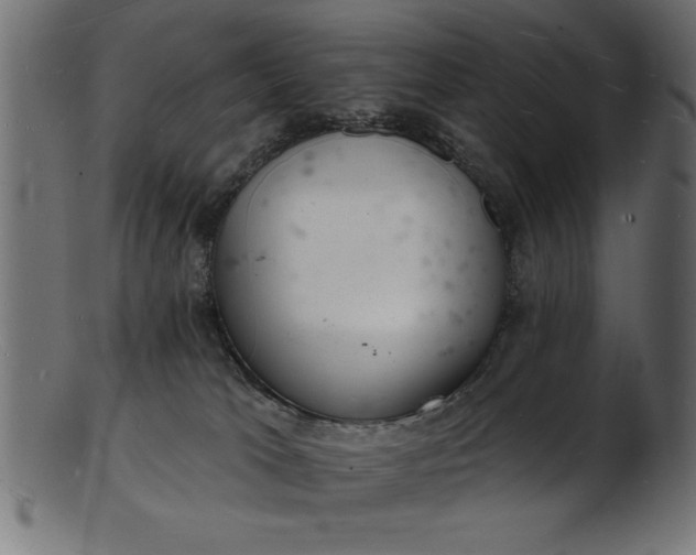 X0000103240037200809111607