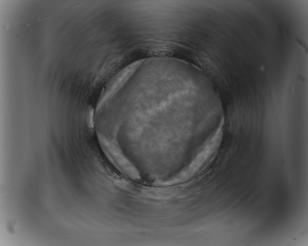 X0000103240041200809111607