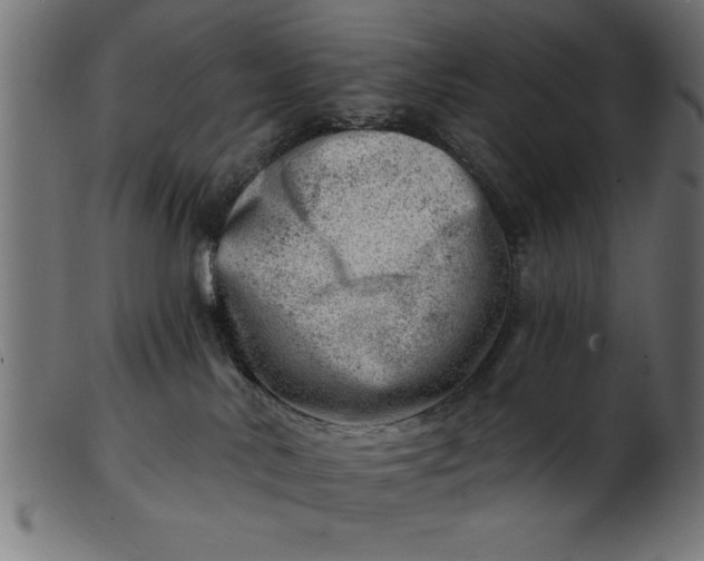 X0000103240042200809111607