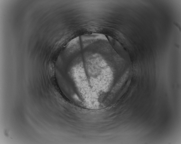 X0000103240043200809111607