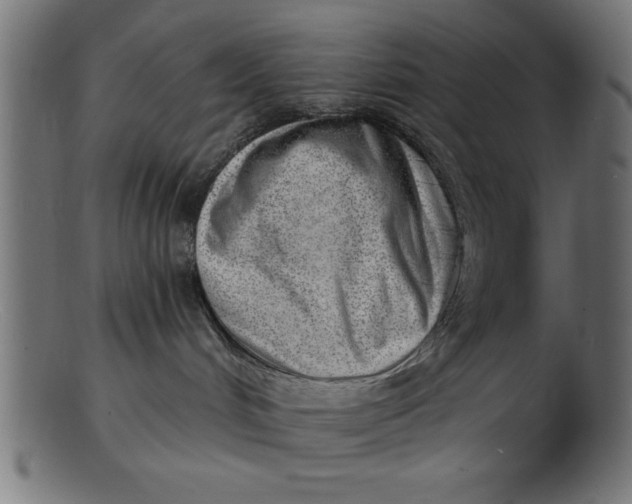 X0000103240048200809111607