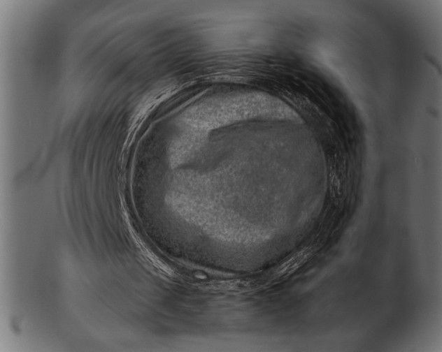 X0000103240049200809111606