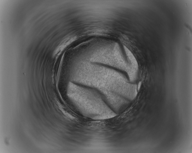 X0000103240050200809111606