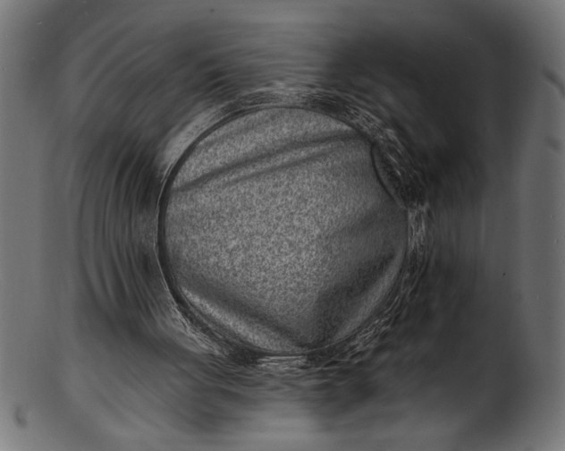 X0000103240051200809111606