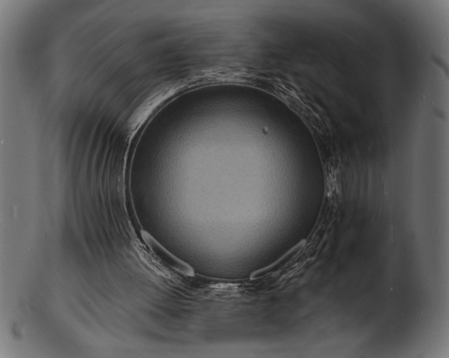 X0000103240052200809111606