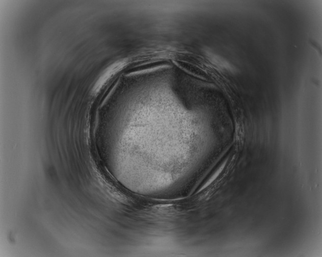 X0000103240054200809111606