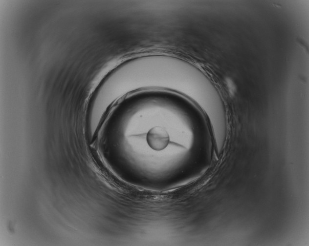 X0000103240056200809111606