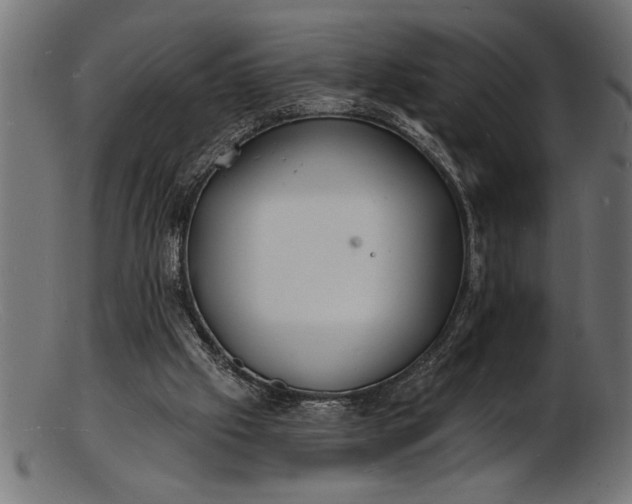 X0000103240057200809111606