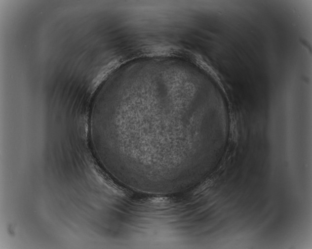 X0000103240059200809111606