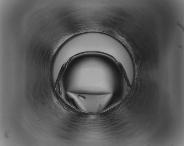 X0000103240060200809111606