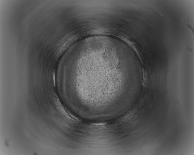 X0000103240061200809111606