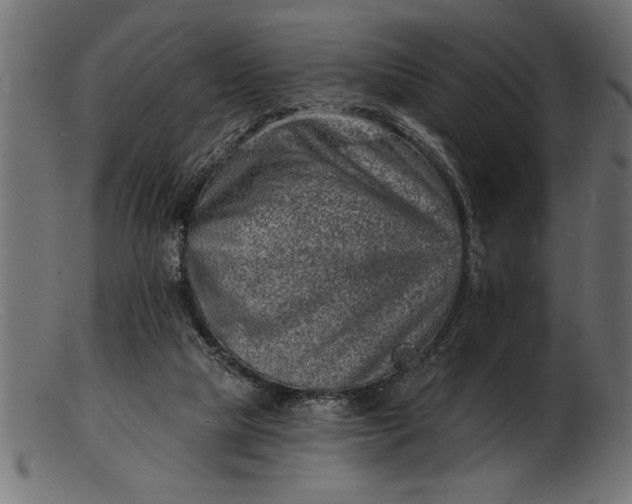 X0000103240065200809111606