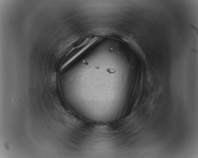 X0000103240066200809111606