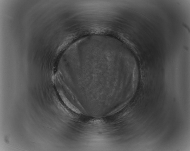 X0000103240067200809111606