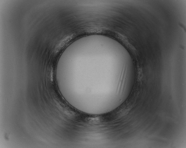 X0000103240068200809111606