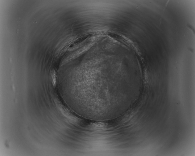 X0000103240069200809111606