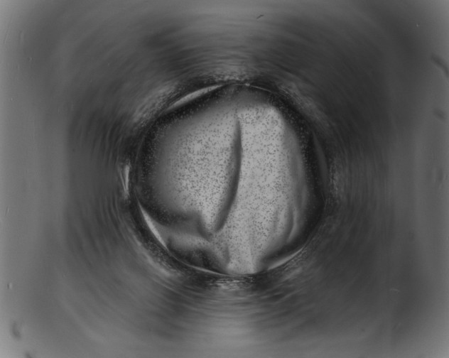 X0000103240070200809111606