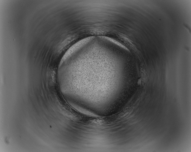 X0000103240071200809111606