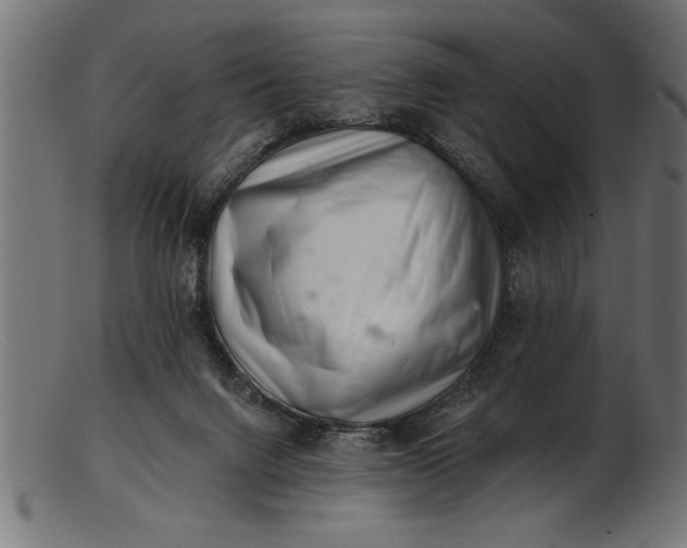 X0000103240072200809111606