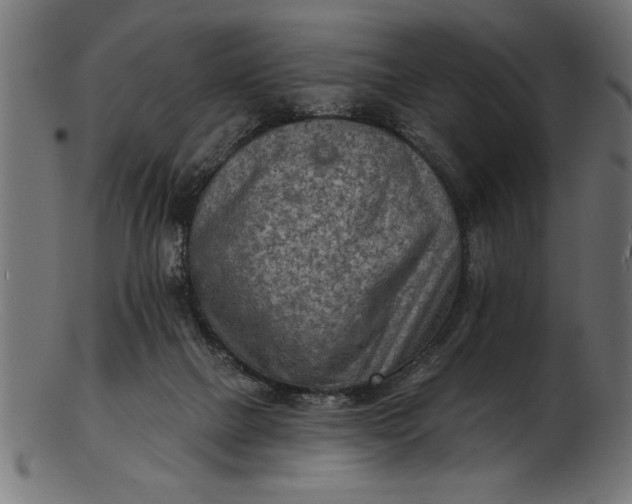 X0000103240073200809111606