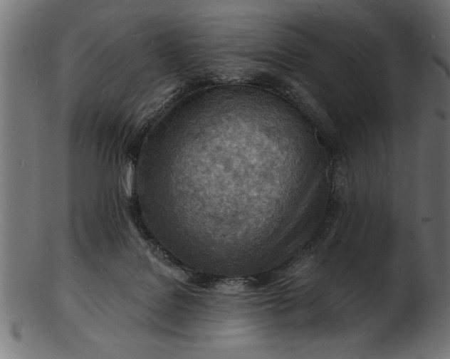 X0000103240076200809111606