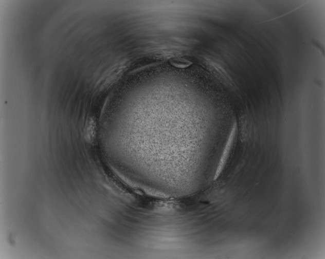 X0000103240077200809111606