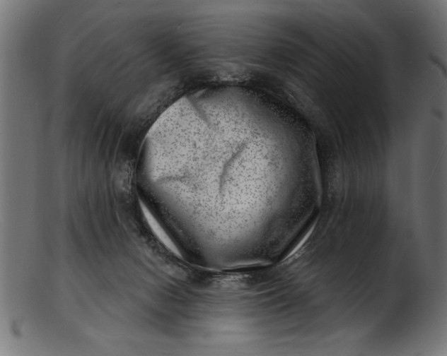 X0000103240078200809111607