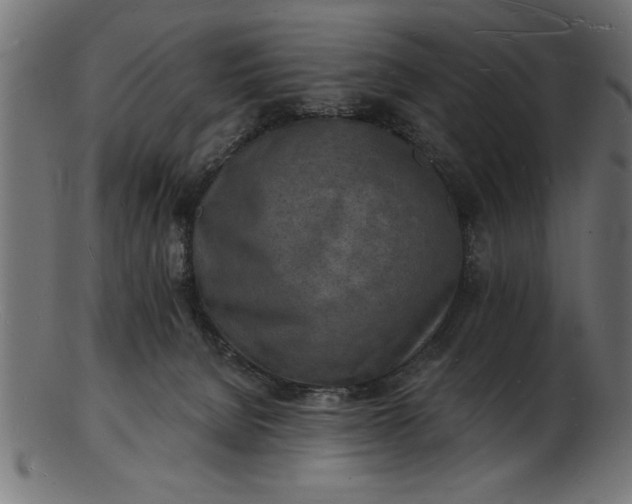 X0000103240080200809111607