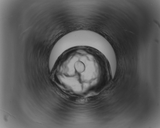 X0000103240084200809111607