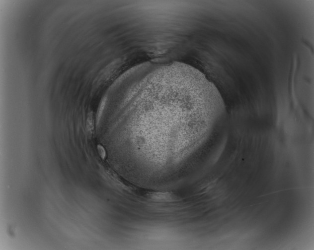 X0000103240085200809111607