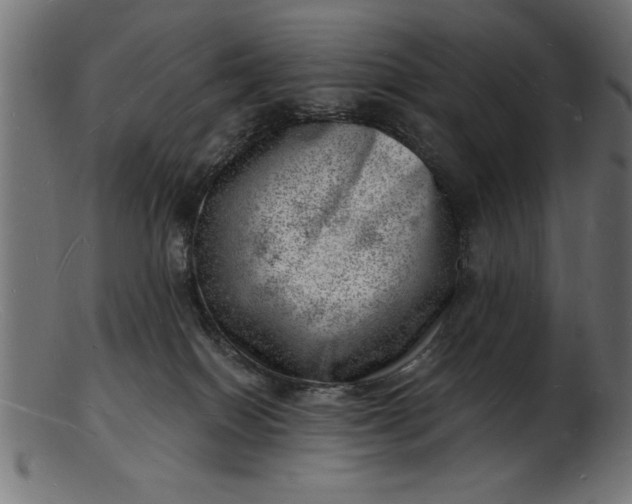 X0000103240086200809111607