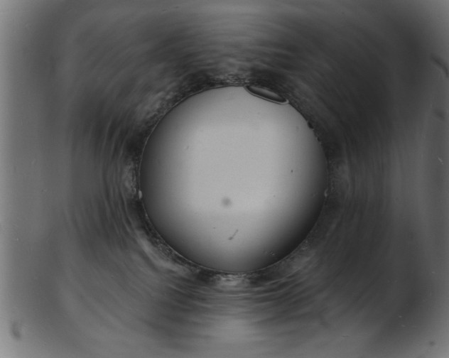 X0000103240088200809111607