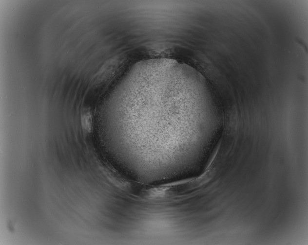 X0000103240090200809111607