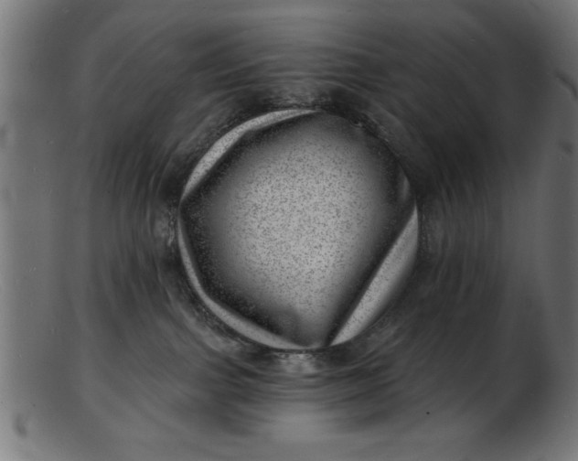 X0000103240091200809111607