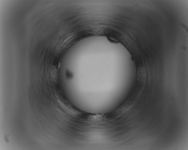 X0000103240092200809111607