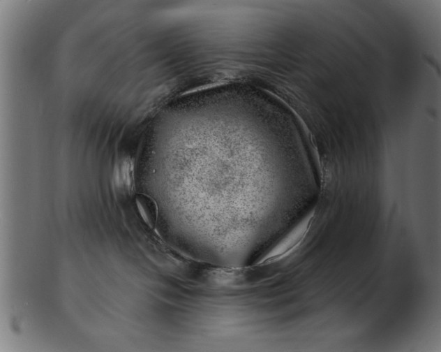 X0000103240094200809111607