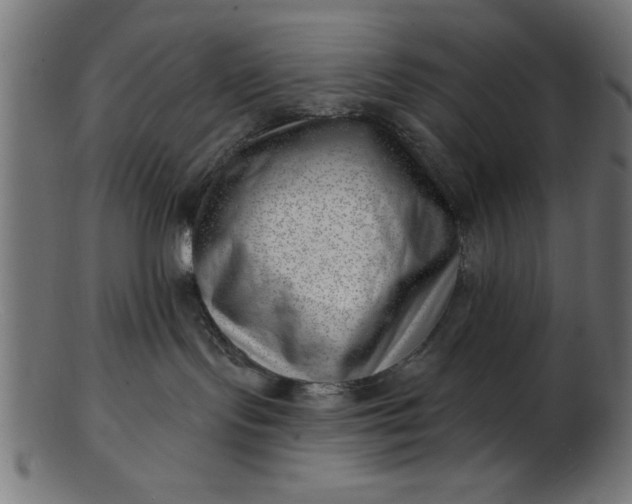 X0000103240095200809111607