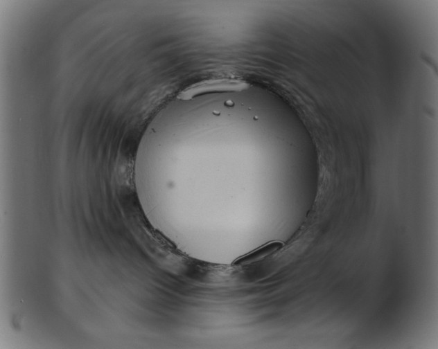 X0000103240096200809111607