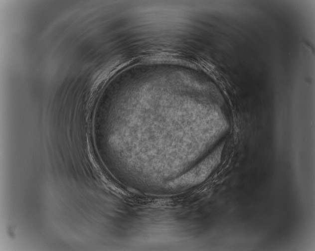 X0000103240097200809111606