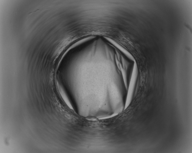 X0000103240098200809111606