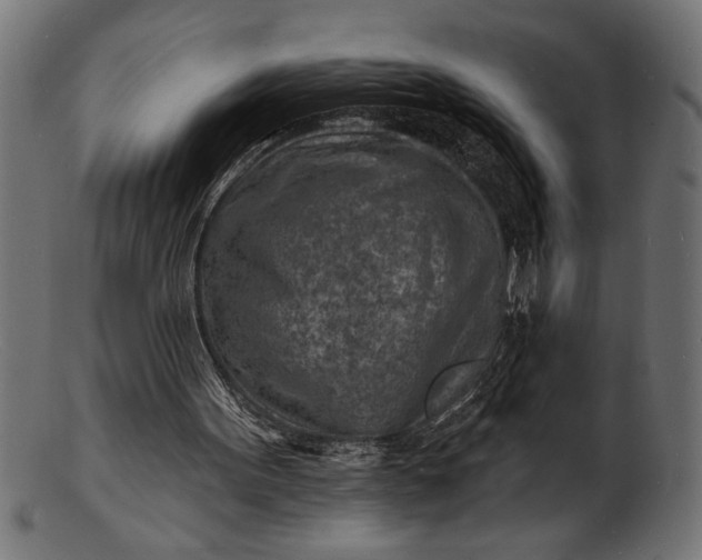 X0000103240099200809111606