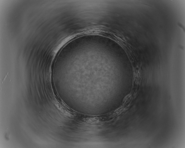 X0000103240100200809111606