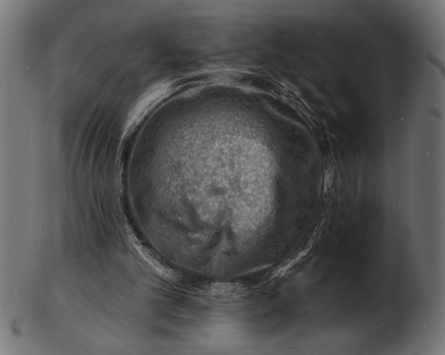 X0000103240101200809111606