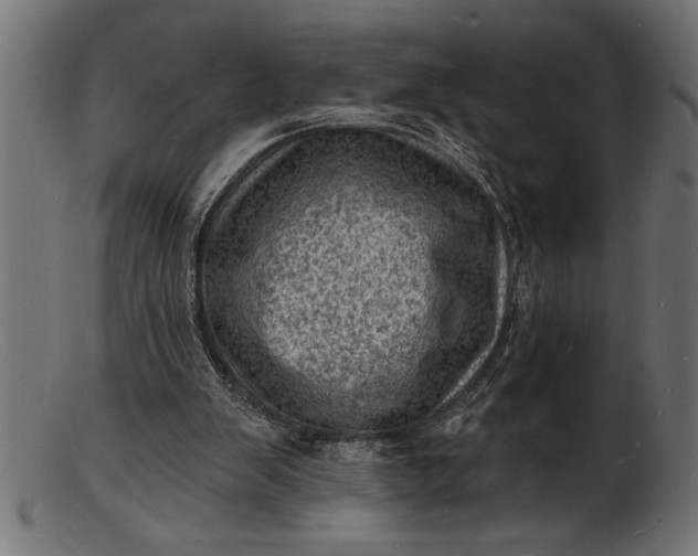 X0000103240103200809111606