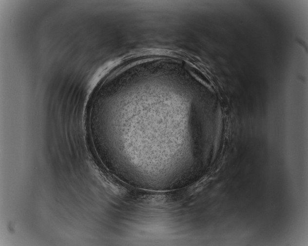 X0000103240104200809111606