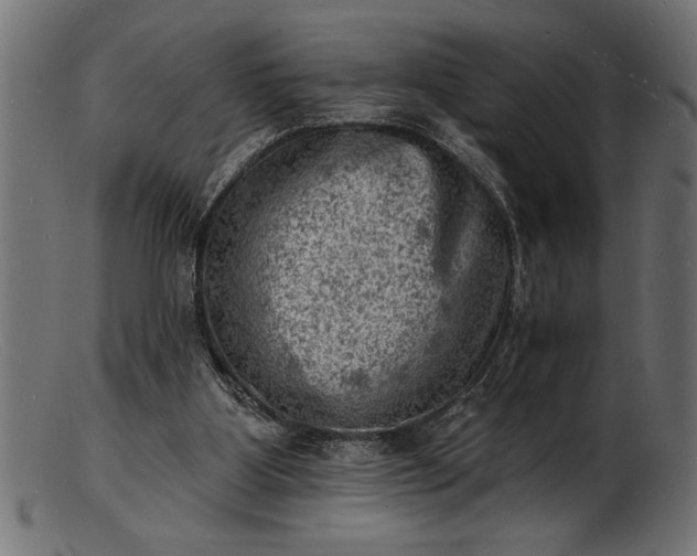 X0000103240107200809111606