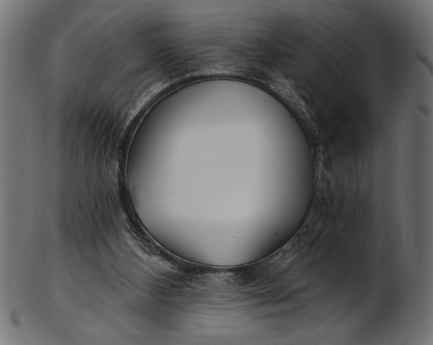 X0000103240108200809111606