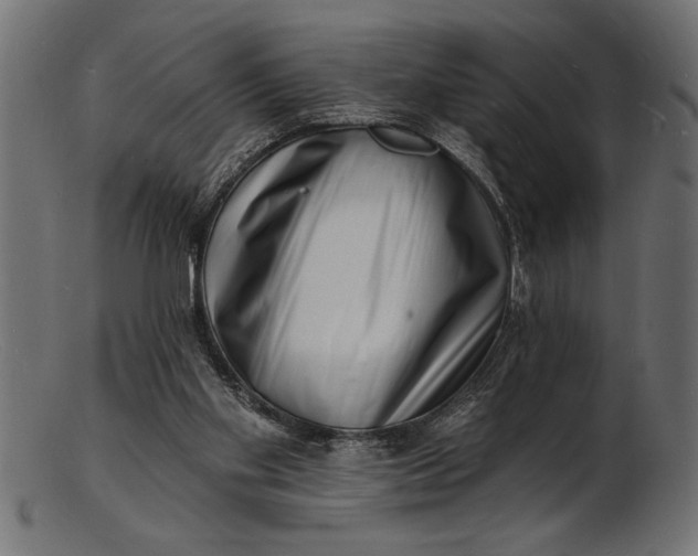 X0000103240109200809111606